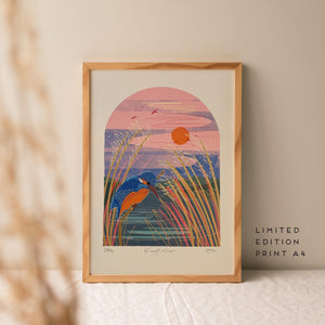 Kingfisher signed limited edition print A4