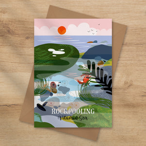 The magical world of rockpools on a beautiful illustrated card by onneke