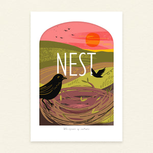 Nest | A4 Coastal Art Print | Whispers of Nature