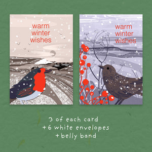 Two illustrated winter greeting cards on a green background, with text below reading '3 of each card +6 white envelopes +belly band'. The left card shows a robin in a snowy landscape with red text reading 'warm winter wishes'.