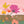 Wishing You a Lovely Day - Floral Birthday Card